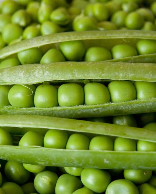 Peas Alderman Tall