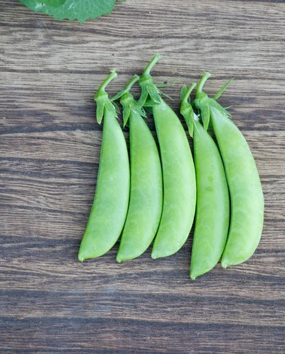 Peas Sugar Ann Organic WCS