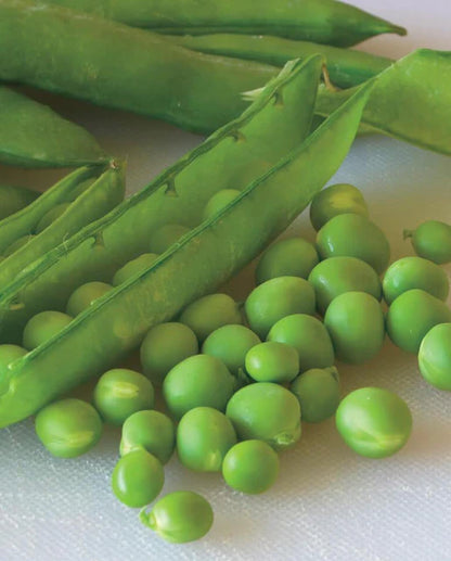 Peas Green Arrow WCS Seed LG