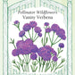 Verbena Vanity