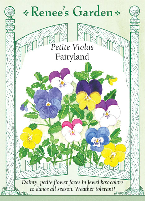 Viola Fairyland Petite