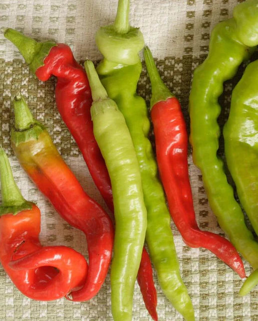 Peppers Pepperoncini WCS Seed