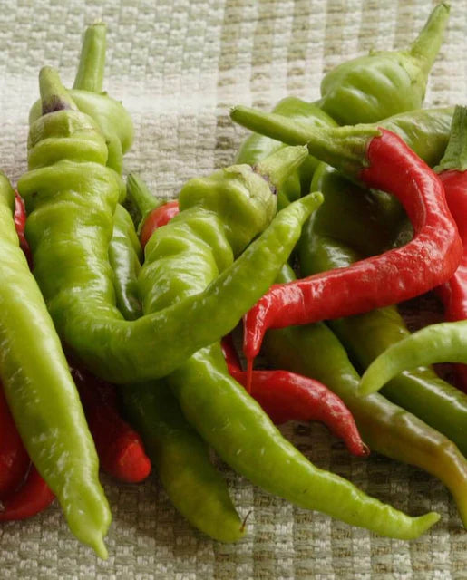 Peppers Pepperoncini WCS Seed