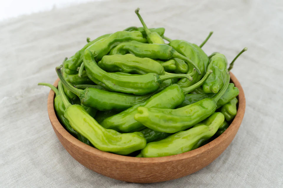 Pepper Shishmai WCS Seeds