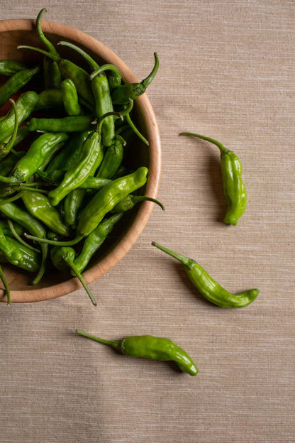 Pepper Shishmai WCS Seeds