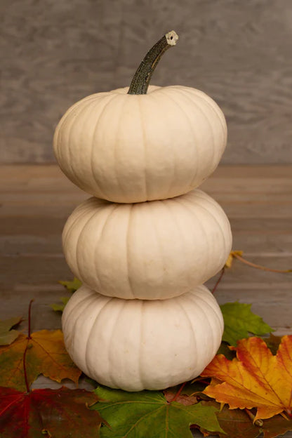 Pumpkin Mooncake WCS