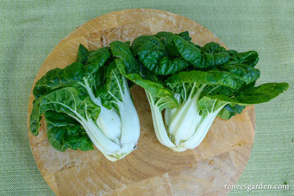 Pak Choi Mini Green Jewel