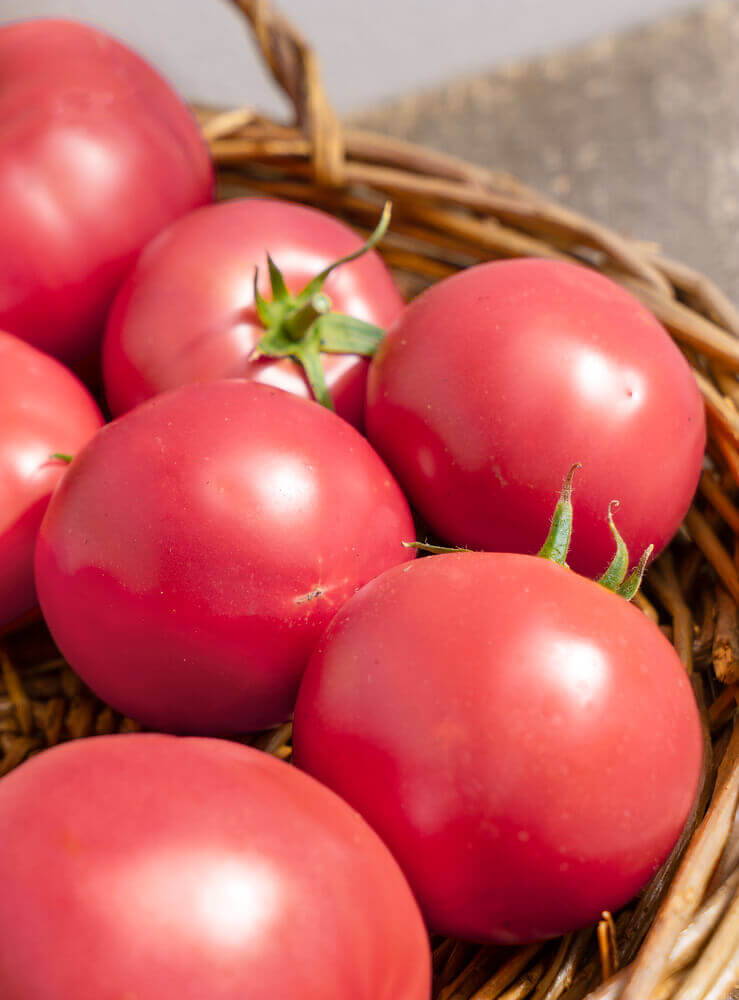 Tomato Low Acid Pink Ponderosa OSC Seeds