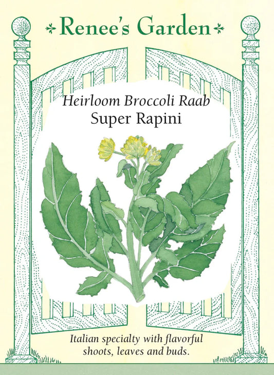 Broccoli Raab Super Rapini