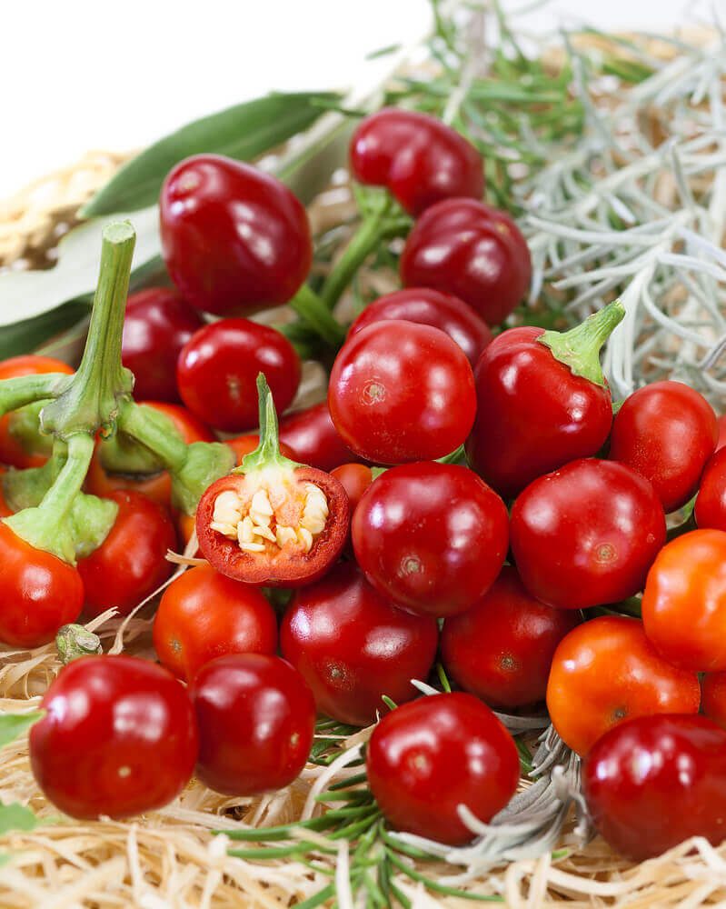 Pepper Red Cherry (Hot) OSC seeds