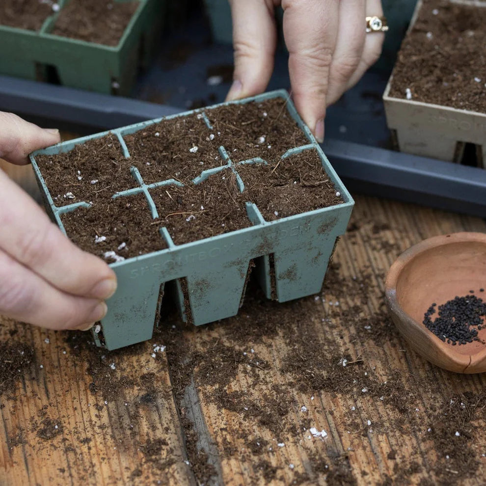 Sproutbox 6-Cell Seed Starter