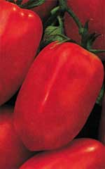 Tomato Roma VF OSC Seed