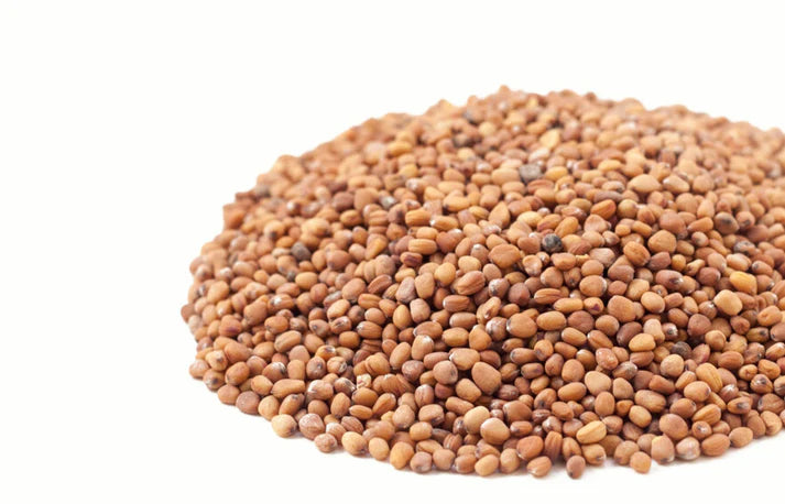 Microgreens Ruby Stem Radish 100gm