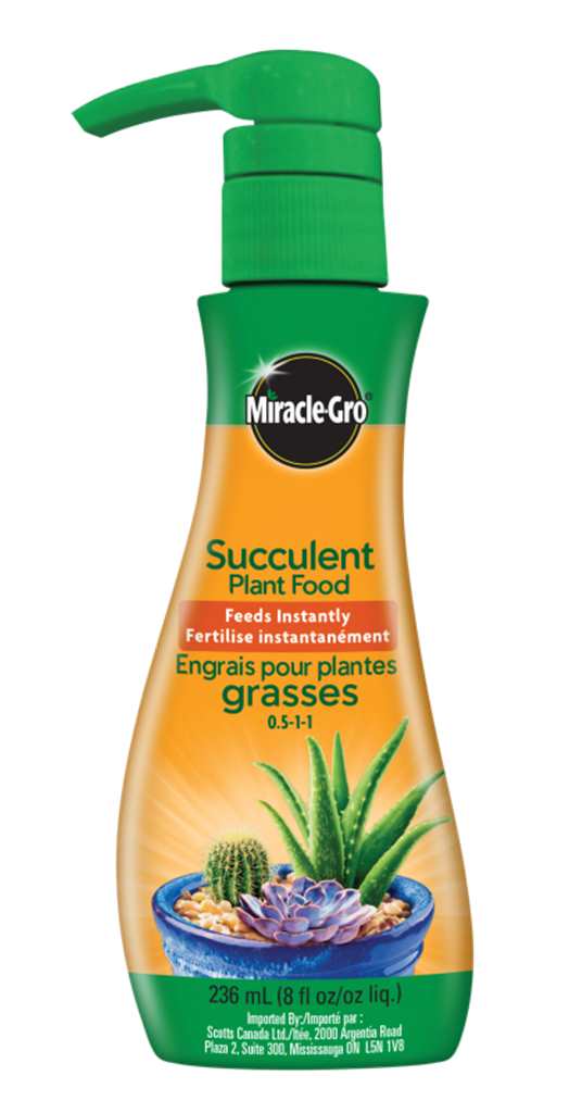 Miracle Gro Succulent Fertilizer