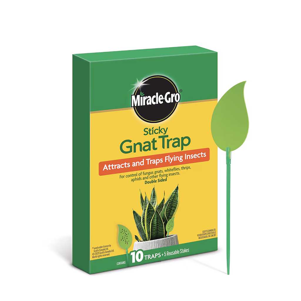 Miracle-Gro Sticky Gnat Trap