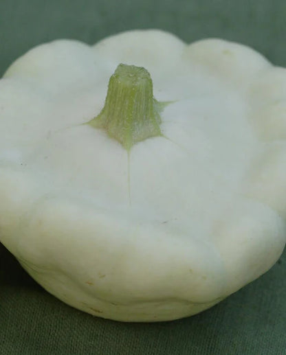 Squash Bennings Green Tint WCS Seed