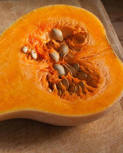 Squash Waltham Butternut Organic WCS Seed