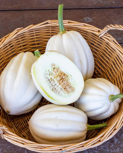 Squash Mashed Potatoes WCS Seed