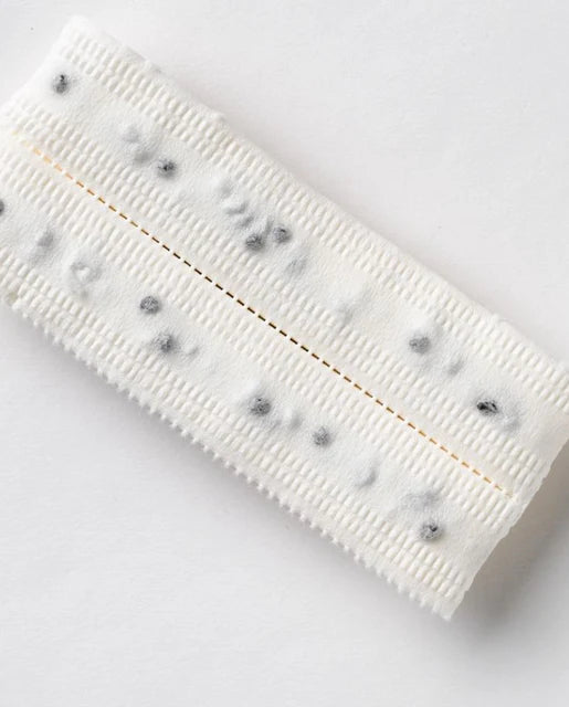 Lettuce Little Gem Seed Tape WCS Seed