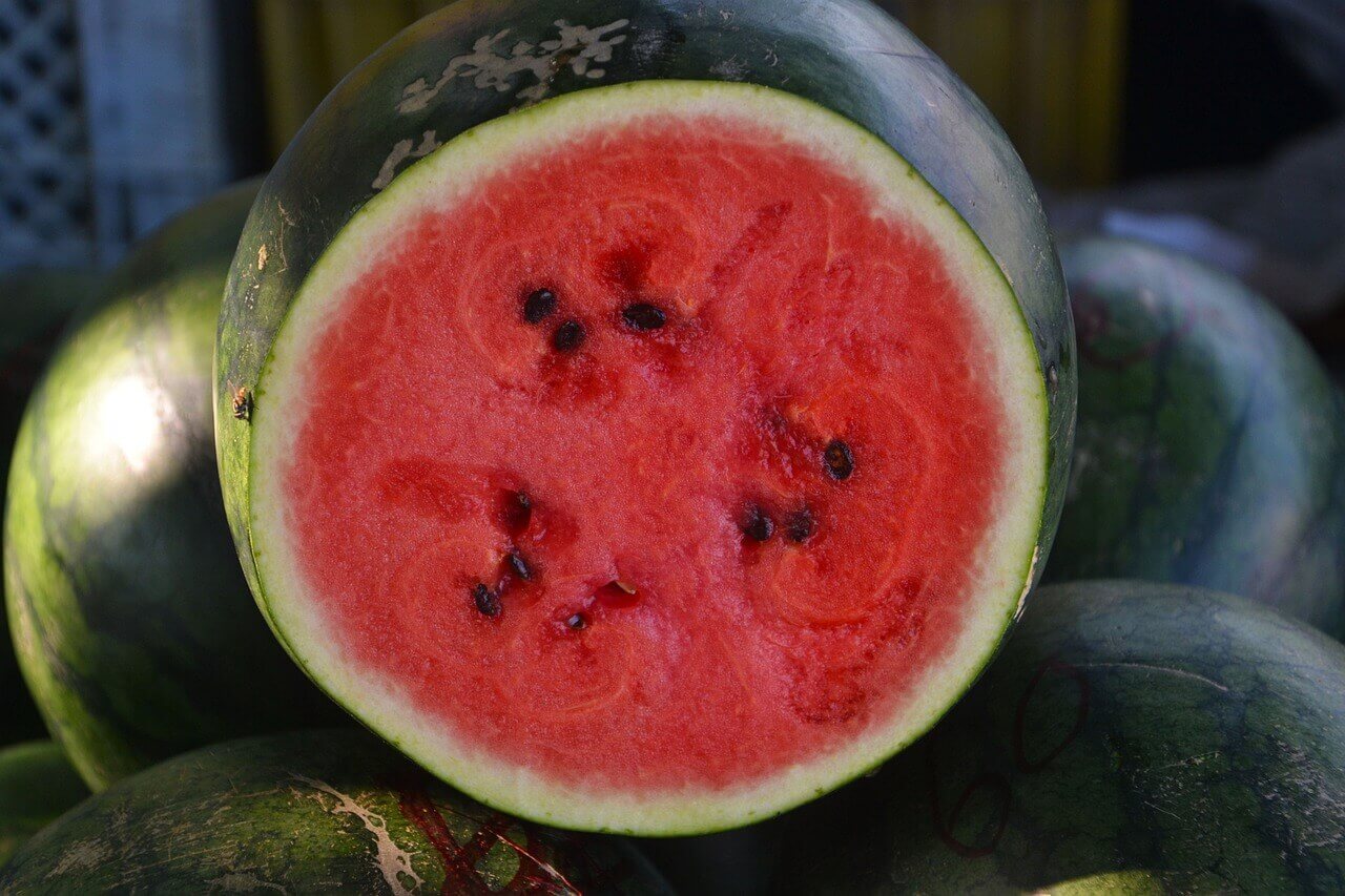 Watermelon Sugar Baby Organic OSC Seed
