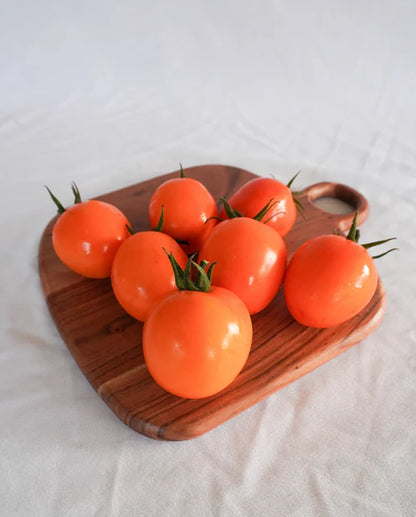 Tomatoes Sunrise Sauce WCS Seeds