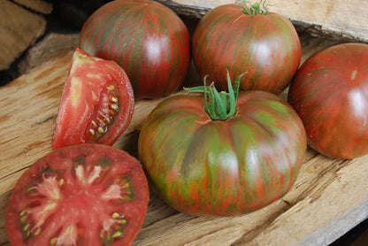 Tomato Pink Berkeley Tie Dye WCS Seeds