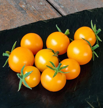Tomatoes Sungold F1 WCS Seeds