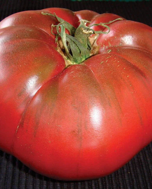 Tomatoes Black Krim Organic WCS Seeds