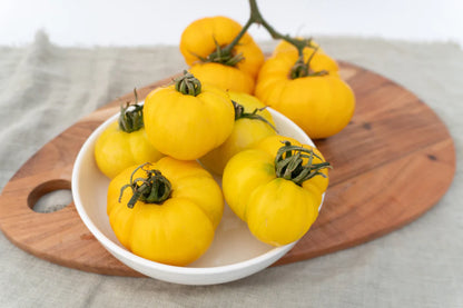 Tomatoes Pork Chop Organic WCS Seeds