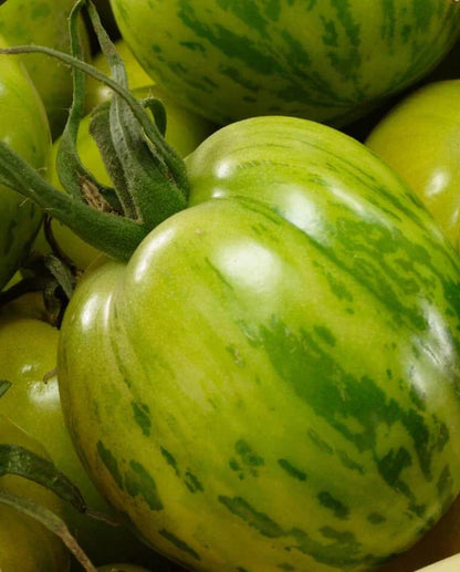 Tomatoes Green Zebra Organic WCS Seeds