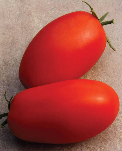 Tomatoes Supremo WCS Seeds