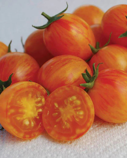 Tomatoes Sunrise Bumble Bee Organic WCS Seeds