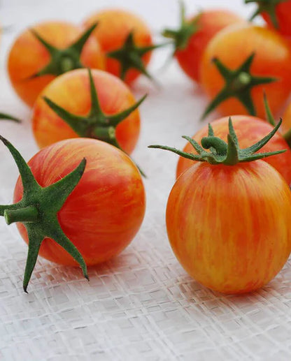 Tomatoes Sunrise Bumble Bee Organic WCS Seeds