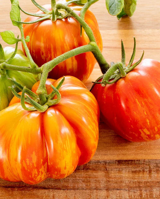 Tomatoes Get Stuffed Organic WCS Seeds