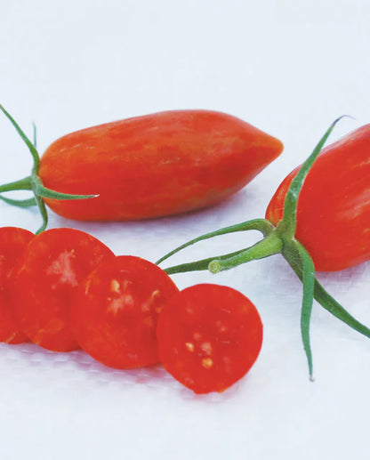 Tomatoes Prairie Fire Organic WCS Seeds