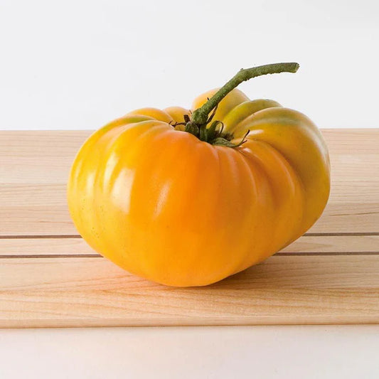 Tomato Orange Oxheart  MIgardener Seed