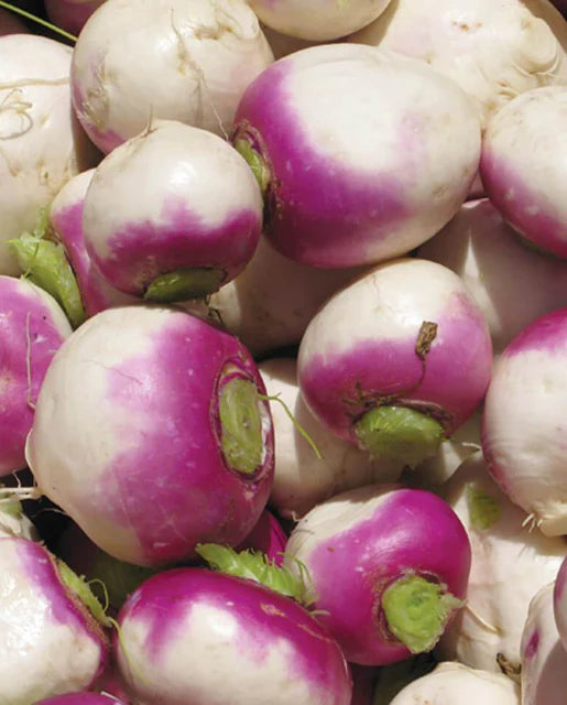 Turnips Purple Top White Globe WCS Seeds