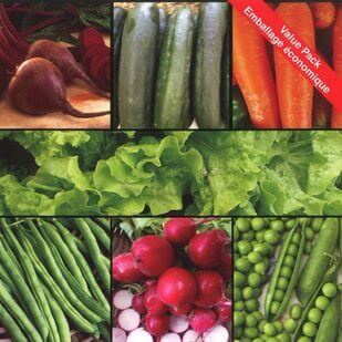 Vegetable Garden Starter Kit OSC Seed