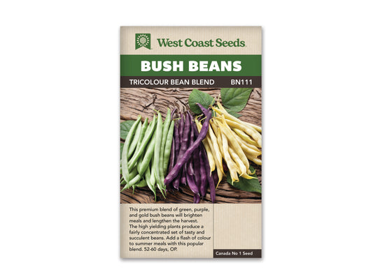 Bean Bush Tricolour WCS Seed