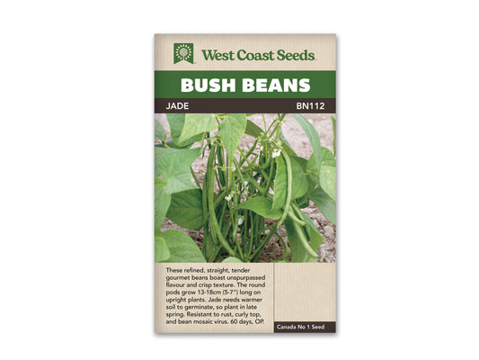Bean Bush Jade WCS Seed