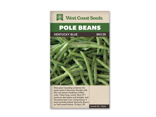 Bean Pole Kentucky Blue WCS Seed