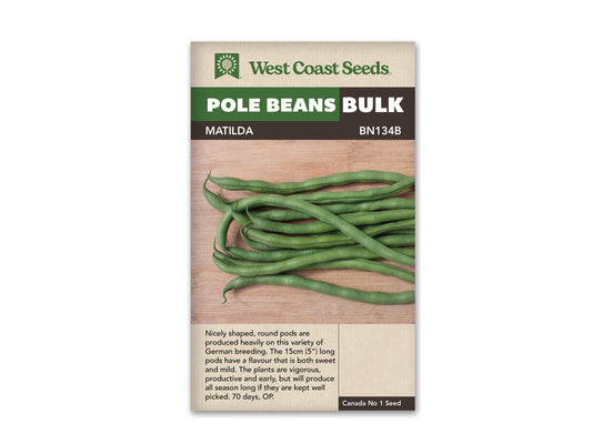 Bean Pole Matilda LG WCS