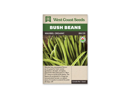 Bean Bush Maxibel Filet Certified Organic WCS SM