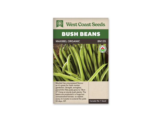 Bean Bush Maxibel Filet Certified Organic WCS SM