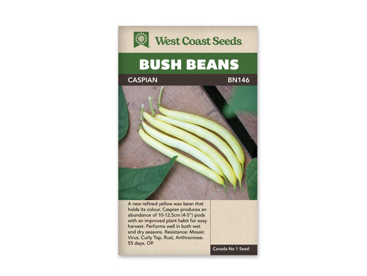 Bean Bush Caspian WCS Seed