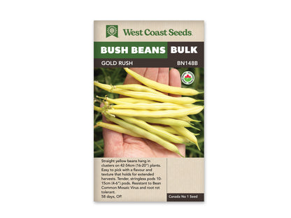 Bean Bush Gold Rush Organic WCS Seed LG