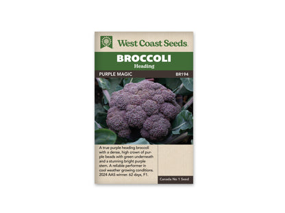 Broccoli Purple Magic WCS Seed