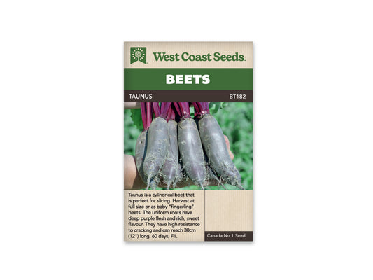 Beets Taunus Cylindrical WCS Seed