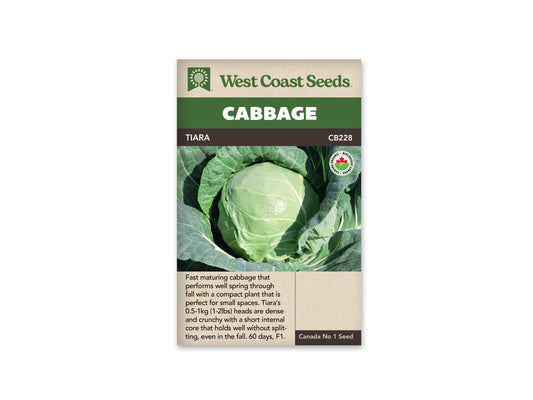 Cabbage Tiara Organic WCS Seed