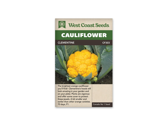 Cauliflower Clemintine Orange WCS Seed